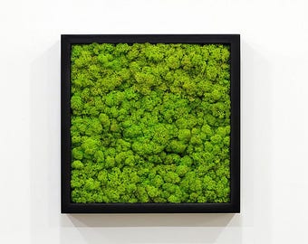 Wall decor,moss art, Moss wall, reindeer moss, moss frame,, living plants, vertical garden, Lichen, preserved moss wooden frame