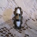 Native American Silver and inlay ring size 7