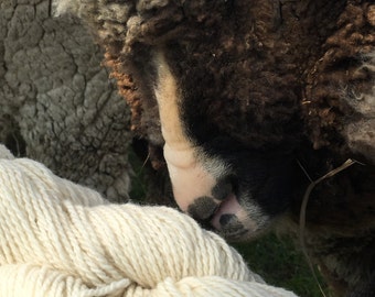 Merino wool yarn 2ply