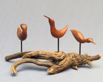 Three Redwood Shorebirds.