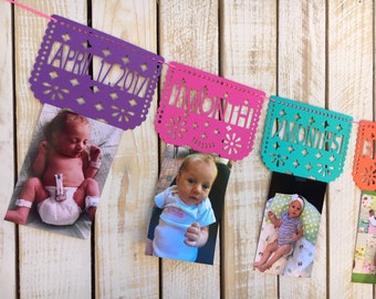 Papel Picado First Year Monthly Photo Banner | First Fiesta Decorations | First Birthday Banner