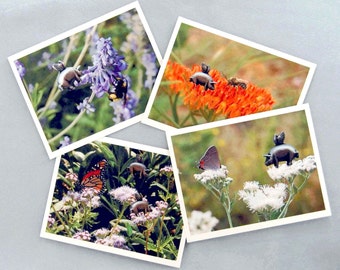 Flying Pig Note Cards - Piggy Pollinator Series, Blank Note Cards, Altered Photo Greeting Cards, Nature Note Cards, Whimsical Note Cards