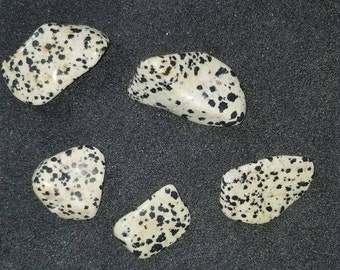 5 pieces of Dalmatian Jasper