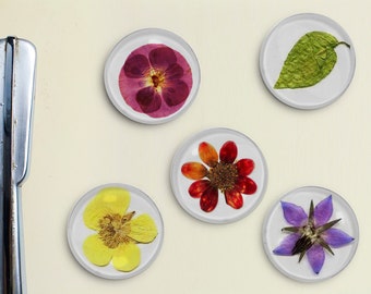 Pressed Flowers Magnets - vintage, pressed, restored, daisy, mum, leaf, rose, petal, retro, preserved, lavender, purple, yellow, green, red