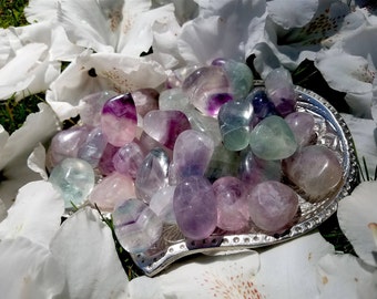 Juicy Fluorite Tumbled Stones - small - Harmonize Spiritual Energy, Purifies, Reorganizes, Stabilize the Aura.