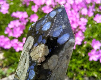 Rare QUE SERA LLANITE Point- 3 5/8''-4 1/4'', Healing, 1st & 5th Chakra, Centered Communication, Confidence, Power Stones, Zodiac 24.00US+