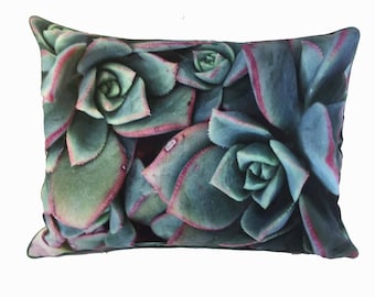 Fantastic succulent pillow