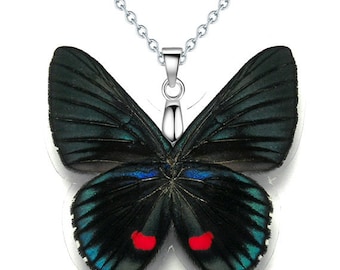 Real Butterfly Wing Necklace / Pendant (WHOLE Necyria Duellono Butterfly - W110)