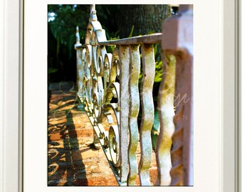 Ironwork Photograph 11x14 Print