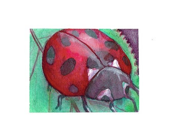 Ladybug print | Etsy