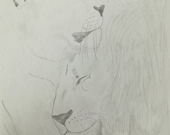 Lion and Lioness Pencil Drawing