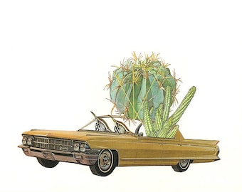 Cactus wrens. Limited edition print by Vivienne Strauss