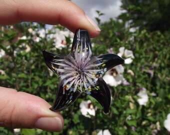 1 LARGE PENDANT BEAD LAMPWORK WHITE STARFISH.