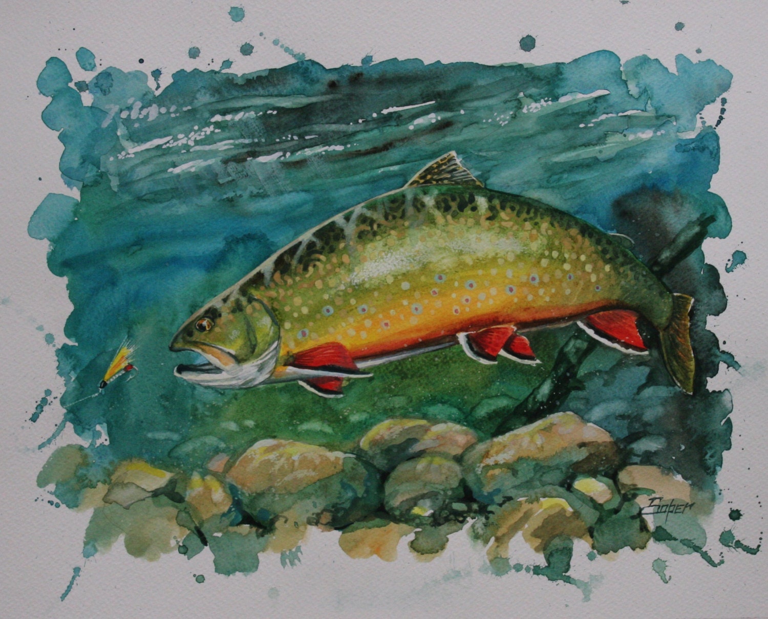 Fine art print of brook trout watercolor painting by Patrick