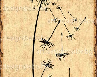 Vector Flower /Taraxacum/, dandelion, AI, eps, pdf, svg, dxf, png, jpg Image Graphic Digital Download Artwork, graphical, discount coupons