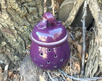 Purple Garlic Jar, Garlic Keeper, Handmade Pottery by Daisy Friesen