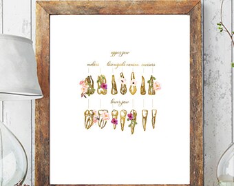 Tooth Chart, Dental Hygienist Print, Dental Assistant Print, Dental Clinic Decor, Dental Student Gift,Dental Office Decor Dentist Office Art