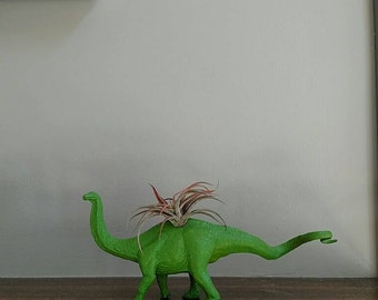 Kelly Green Dinosaur Planter / Air Plant Container