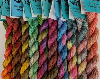 Very Variegated Rich collection - Stranded cotton