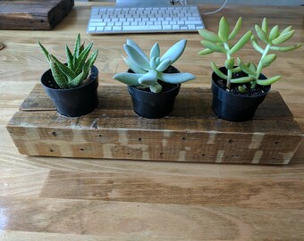 Reclaimed wood succulent planter