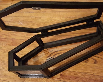 Glass Coffin Display Case