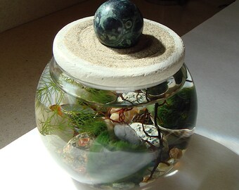 SALE! Zen Garden Stone Top Marimo Ball Unique Terrarium with Choice of Gemstone Sphere