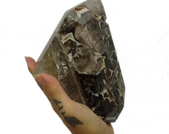 LARGE - Crocodile Elestial quartz point (GC1-224)