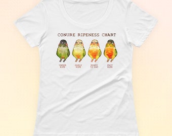 green cheek conure etsy pineapple ripeness chart