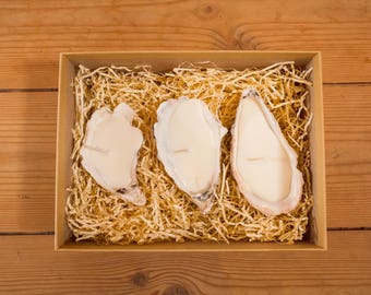Trio of Oyster Shell Candles