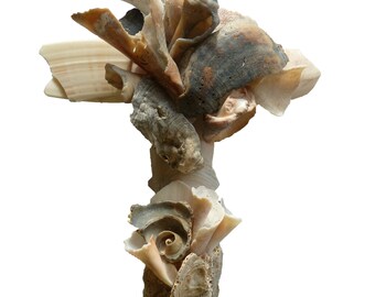Seashell Sculpture for the wall, unique religious art created from naturally broken seashells, beach wedding gift, housewarming gift