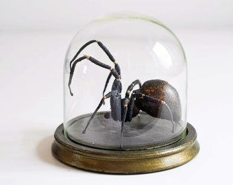 Black-gold Spinne, textil art, insect, Soft sculptur,home decor, unique design, eco friedly,fabric spider