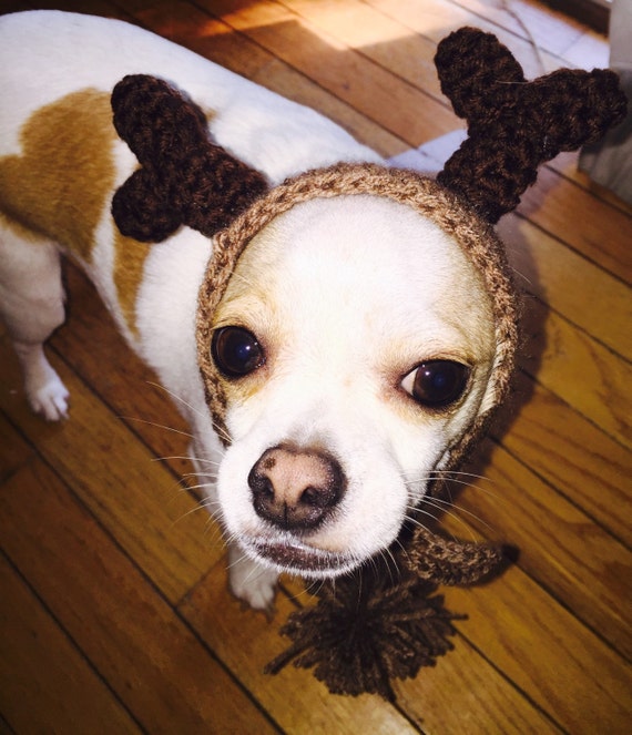 Items similar to Dog Reindeer Hat, Crochet, Dog Clothes, Chihuahua, Pet
