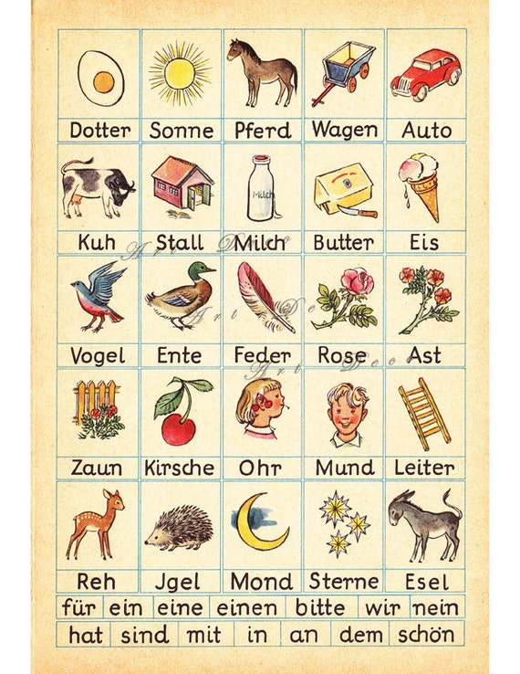 german-words-from-mein-erstes-buch-printable-digital