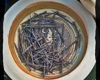 Thirteen blackthorn pins, spines, thorns for magic, ritual, witchcraft, pagan, Wiccan, witch, spells