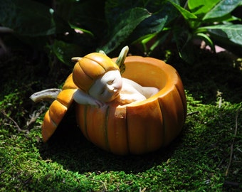 Sleeping Fairy Baby in Orange Pumpkin
