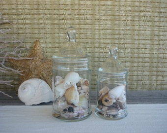 Set of 2 Vintage Apothecary Jars, Glass Display Jars, Cottage Decor, Shabby Chic