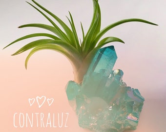 Ice Blue Air Plant Crystal Garden, Healing Crystal Garden, Blue Air Plant Crystal, Indoor Air Plant Garden