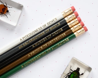 DARK ANIMAL NOUNS Pencil Set Collective Grammar Pencils Stationery Gift For Him Her Thank You Teacher Back to School Present Stocking Filler