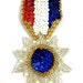 Single or Pack Medal Badge Appliqué, Sequin Beaded, 4" x 2" -B354-0411
