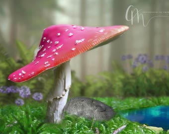 Toadstool digital background