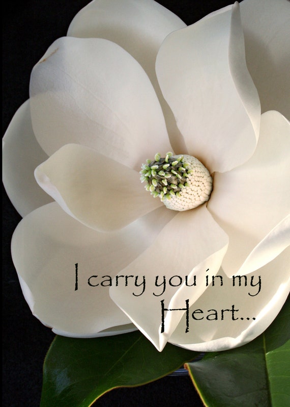 Magnolia - "I Carry You in my Heart" (5" x 7" photographic greeting card - blank inside/with envelope)
