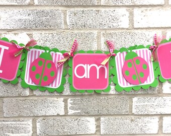 Ladybug Highchair Banner, Ladybug I am 1 Banner, Ladybug Banner, Lady Bug Banner, Ladybug ONE Banner, First Birthday Banner, Birthday Banner