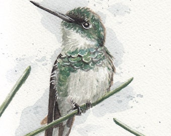 4x6 Original Hummingbird Watercolor