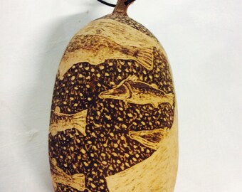 kimberley boab..nut engraved..