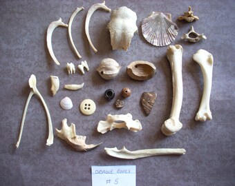 Scrying/Oracle Bones- #5