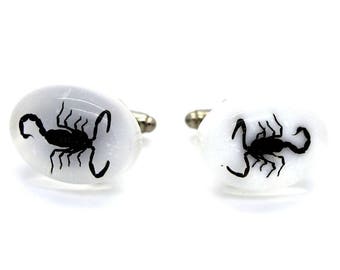 Real Scorpion CUFFLINKS. Black color. TMPL_SKU004901