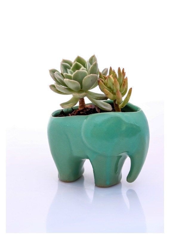Elephant planter for succulents ceramic planters mothers day gift elephant decor gifts for mom desk plants housewarming gift Elephant planter for succulents ceramic planters mothers day gift elephant decor gifts for mom desk plants housewarming gift