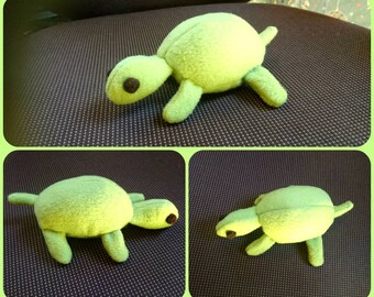 Little Turtle Edmund