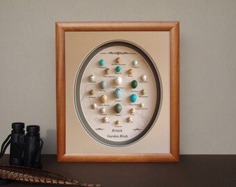 Garden Birds Replica Eggs,handmade,British Garden Birds,Free Shipping