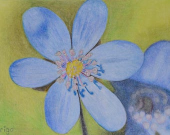 Liver Floret, flower, flower, small painting, crayon, 13 x 18 cm, original painting, handmade, blue, green